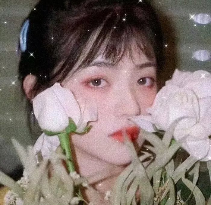 黑金地的女人