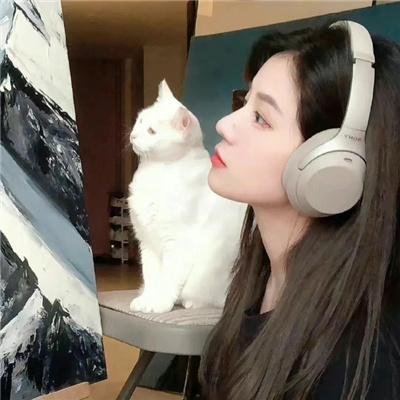 节日开始了